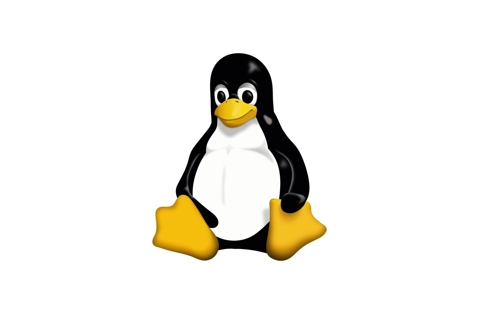 Kali Linux